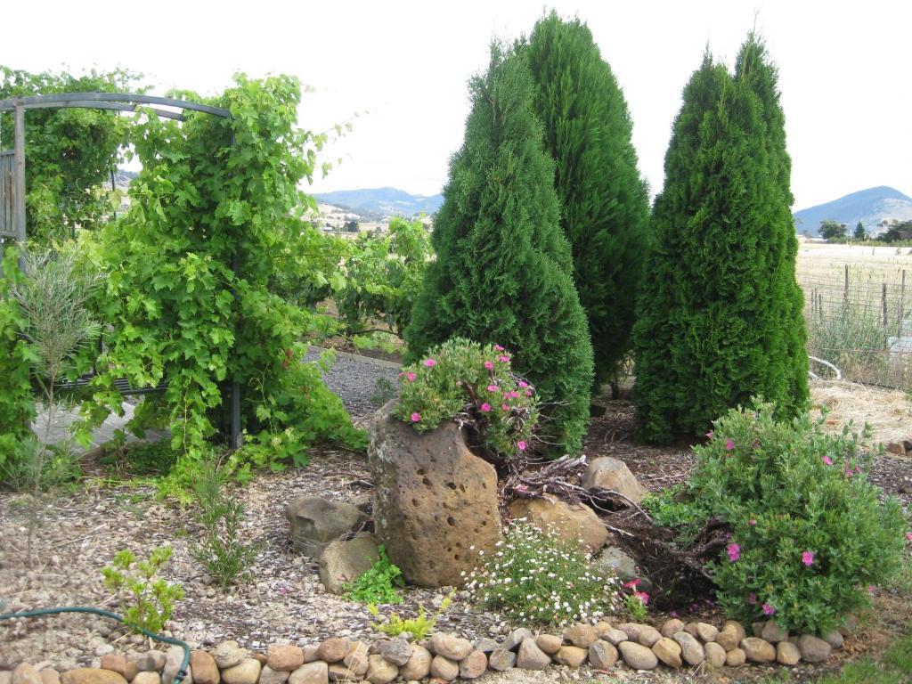 Taras Richmond Farmstay Campania Exteriör bild